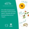 imageEarth Mama Calendula Baby Oil  Massage Oil for Newborn Skin Care Dry Skin ampamp Scalp Moisturizer Fragrance Free 4Fluid Ounce4 Fl Oz Pack of 2
