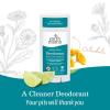 imageEarth Mama Calming Lavender Deodorant  Safe for Sensitive Skin Pregnancy and Breastfeeding Contains Organic Lavender Calendula and Coconut Oil No Baking Soda or Aluminum 265Ounce 2PackNEW Ginger Fresh