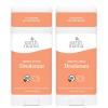 imageEarth Mama Ginger Fresh Deodorant  Safe for Sensitive Skin Pregnancy and Breastfeeding Contains Organic Ginger and Lime No Baking Soda or Aluminum 265Ounce 2PackNEW Bright Citrus