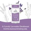 imageEarth Mama Ginger Fresh Deodorant  Safe for Sensitive Skin Pregnancy and Breastfeeding Contains Organic Ginger and Lime No Baking Soda or Aluminum 265Ounce 2PackNEW Calming Lavender