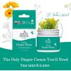 imageEarth Mama Organic Diaper Balm 2Ounce  Diaper Cream for Baby  EWG Verified Petroleum ampamp Artificial FragranceFree with Calendula for Sensitive Skin2 Fl Oz Pack of 2
