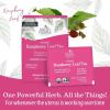 imageEarth Mama Organic Milkmaid Tea  Lactation Support Herbal Tea Bags for Breastfeeding Decaf Lactation Supplement for Increased Breast Milk Production With Milk Thistle ampamp Fenugreek 16 CountRaspberry Leaf Tea