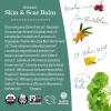 imageEarth Mama Organic Skin ampamp Scar Balm CSection Recovery Skin Care Pregnancy Stretch Mark Scar Cream with Organic Jojoba Oil Tamanu Oil ampamp Gotu Kola1 Fl Oz Pack of 1