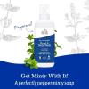 imageEarth Mama Wild Peppermint Hand ampamp Body Wash  Foaming Castile Soap Liquid and Hand Soap Made with Organic Wild Mint ampamp Peppermint Oil 53 fl oz34 Fl Oz Pack of 2