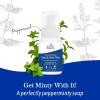 imageEarth Mama Wild Peppermint Hand ampamp Body Wash  Foaming Castile Soap Liquid and Hand Soap Made with Organic Wild Mint ampamp Peppermint Oil 53 fl oz53 Fl Oz Pack of 1