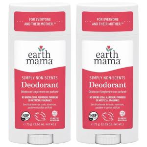 imageEarth Mama Ginger Fresh Deodorant  Safe for Sensitive Skin Pregnancy and Breastfeeding Contains Organic Ginger and Lime No Baking Soda or Aluminum 265Ounce 2PackNEW NonScents